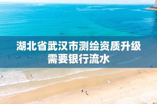 湖北省武汉市测绘资质升级需要银行流水