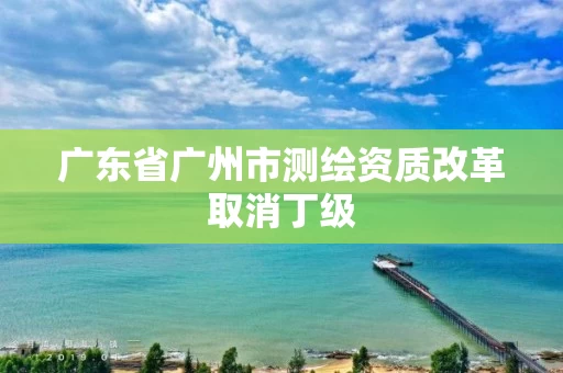 广东省广州市测绘资质改革取消丁级 广东省广州市测绘资质改革取消丁级