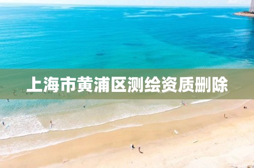 上海市黄浦区测绘资质删除