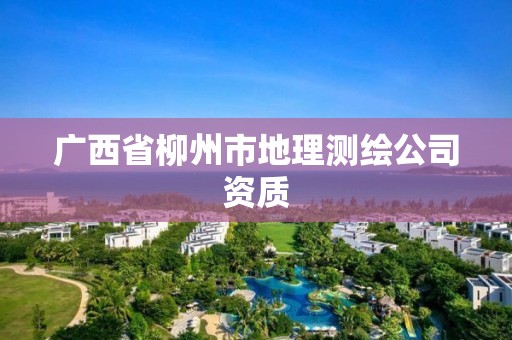 广西省柳州市地理测绘公司资质