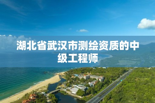 湖北省武汉市测绘资质的中级工程师