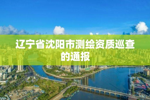 辽宁省沈阳市测绘资质巡查的通报