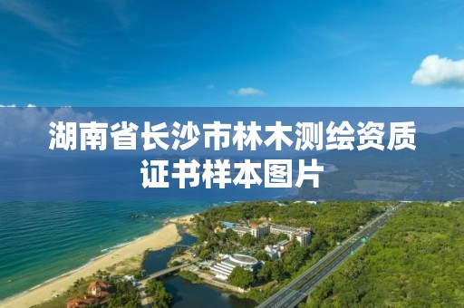 湖南省长沙市林木测绘资质证书样本图片