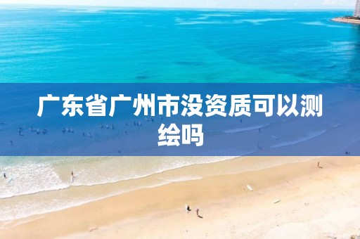 广东省广州市没资质可以测绘吗