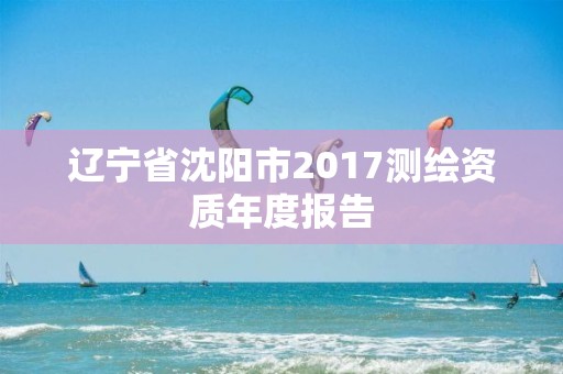 辽宁省沈阳市2017测绘资质年度报告