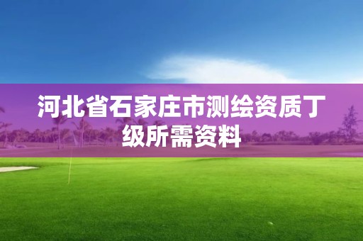 河北省石家庄市测绘资质丁级所需资料