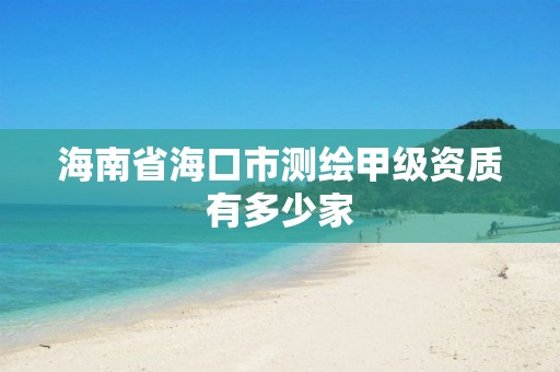 海南省海口市测绘甲级资质有多少家