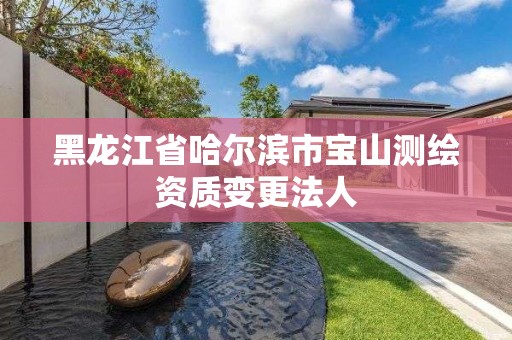 黑龙江省哈尔滨市宝山测绘资质变更法人