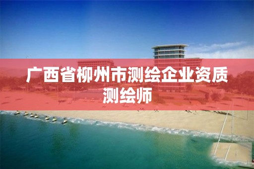 广西省柳州市测绘企业资质测绘师