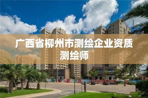 广西省柳州市测绘企业资质测绘师 广西省柳州市测绘企业资质测绘师