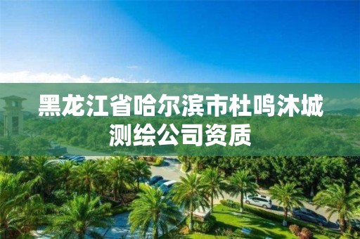 黑龙江省哈尔滨市杜鸣沐城测绘公司资质