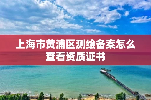 上海市黄浦区测绘备案怎么查看资质证书 上海市黄浦区测绘备案怎么查看资质证书