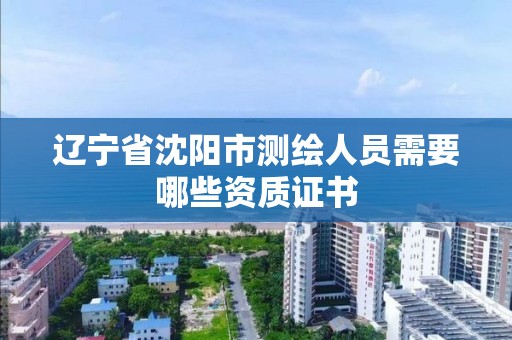 辽宁省沈阳市测绘人员需要哪些资质证书