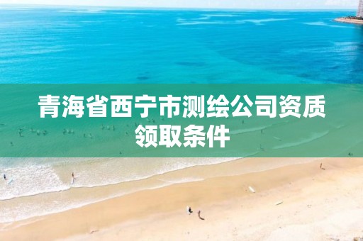 青海省西宁市测绘公司资质领取条件