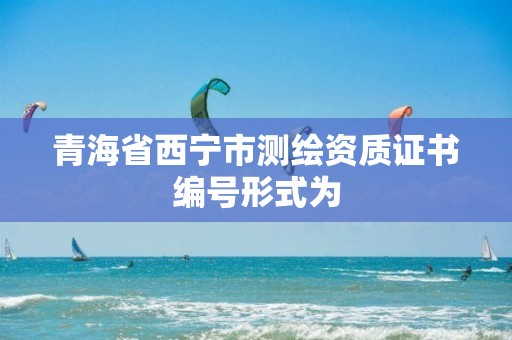 青海省西宁市测绘资质证书编号形式为