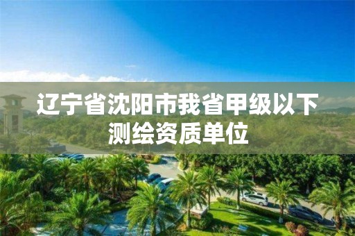 辽宁省沈阳市我省甲级以下测绘资质单位