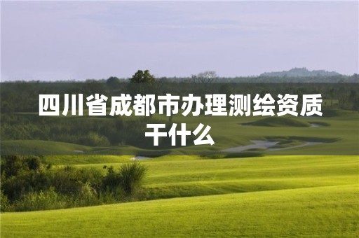 四川省成都市办理测绘资质干什么