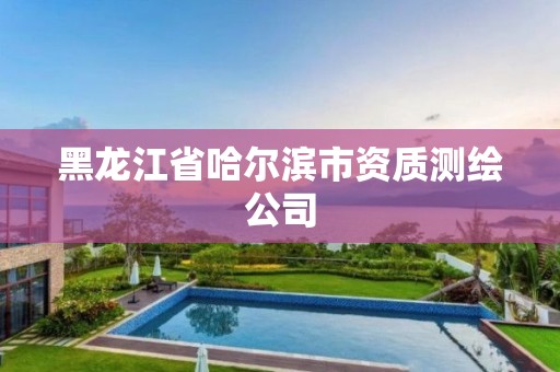 黑龙江省哈尔滨市资质测绘公司