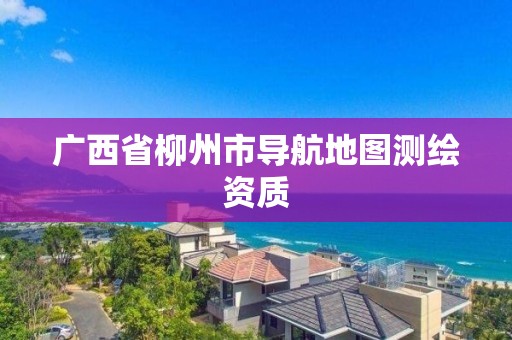 广西省柳州市导航地图测绘资质