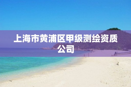 上海市黄浦区甲级测绘资质公司