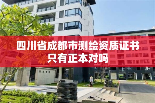 四川省成都市测绘资质证书只有正本对吗