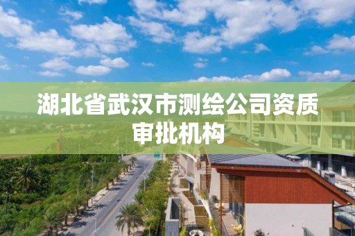 湖北省武汉市测绘公司资质审批机构