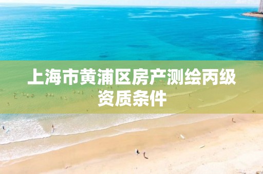 上海市黄浦区房产测绘丙级资质条件