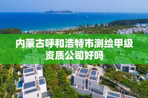 内蒙古呼和浩特市测绘甲级资质公司好吗