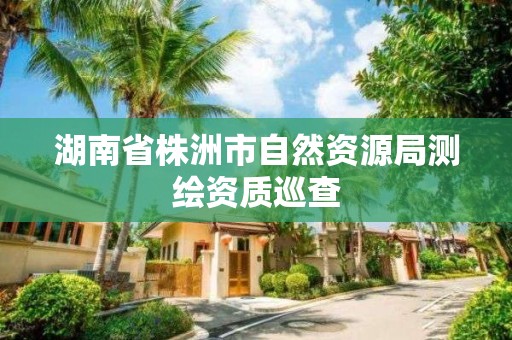 湖南省株洲市自然资源局测绘资质巡查