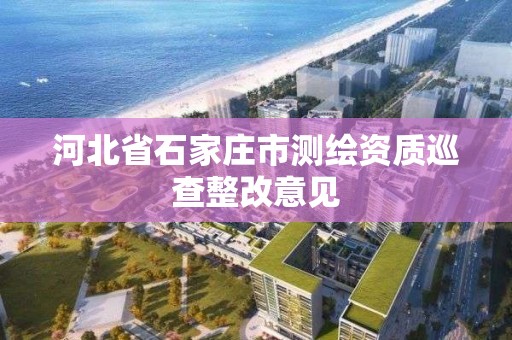 河北省石家庄市测绘资质巡查整改意见