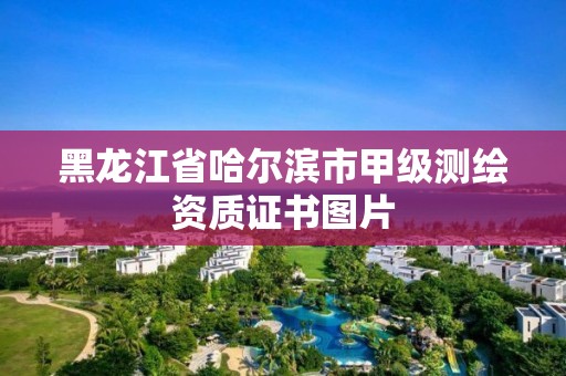 黑龙江省哈尔滨市甲级测绘资质证书图片