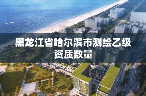 黑龙江省哈尔滨市测绘乙级资质数量