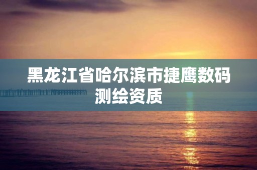 黑龙江省哈尔滨市捷鹰数码测绘资质