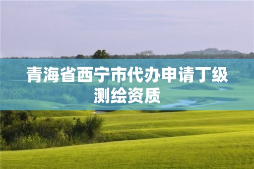 青海省西宁市代办申请丁级测绘资质