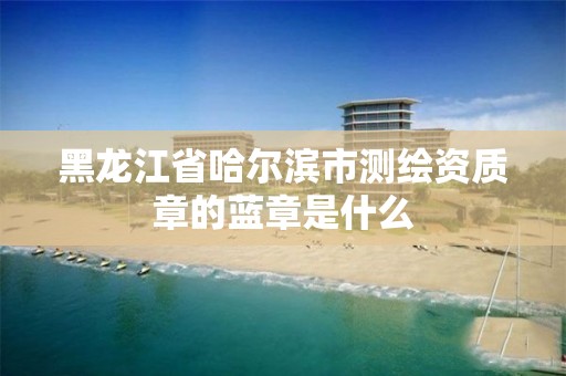 黑龙江省哈尔滨市测绘资质章的蓝章是什么