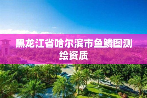 黑龙江省哈尔滨市鱼鳞图测绘资质