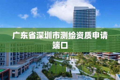 广东省深圳市测绘资质申请端口