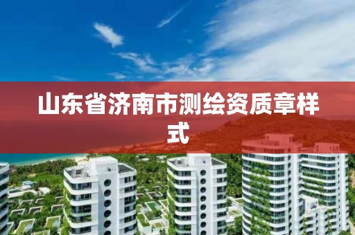 山东省济南市测绘资质章样式