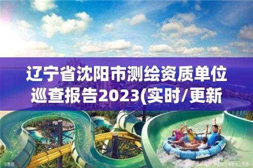 辽宁省沈阳市测绘资质单位巡查报告2023(实时/更新中)