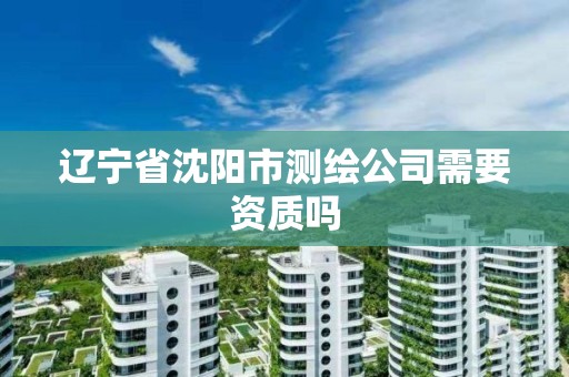 辽宁省沈阳市测绘公司需要资质吗