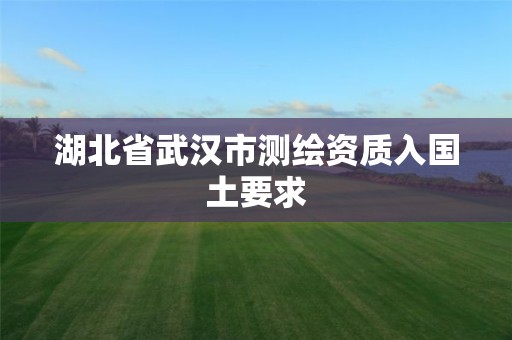 湖北省武汉市测绘资质入国土要求