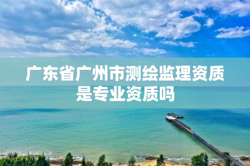 广东省广州市测绘监理资质是专业资质吗