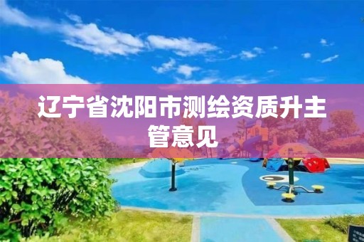 辽宁省沈阳市测绘资质升主管意见