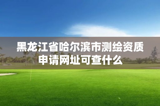 黑龙江省哈尔滨市测绘资质申请网址可查什么