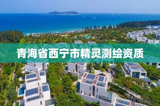 青海省西宁市精灵测绘资质