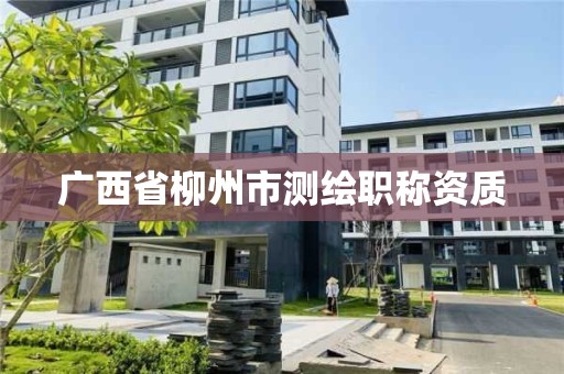 广西省柳州市测绘职称资质