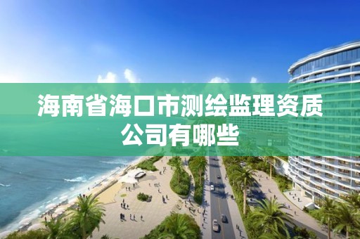 海南省海口市测绘监理资质公司有哪些