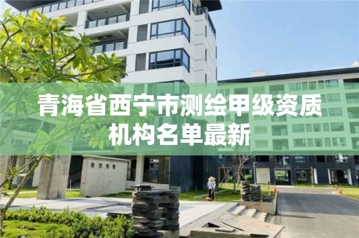 青海省西宁市测绘甲级资质机构名单最新