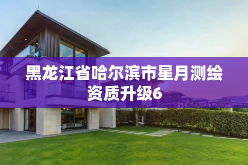 黑龙江省哈尔滨市星月测绘资质升级6