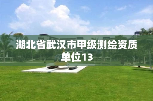 湖北省武汉市甲级测绘资质单位13 湖北省武汉市甲级测绘资质单位13
